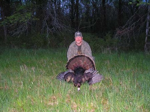 Turkey Hunts Photo